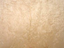 Bird's Eye Maple Veneer Bird's