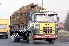 THH Truck Photos - Seddon