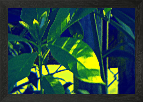 Dahon framed wall art - dahon,