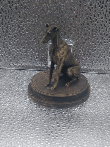 Greyhound dog bust - dog,