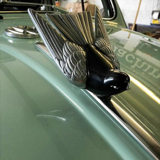 Bird Mascot Bonnet Emblem VW