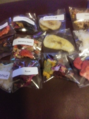 Land hermit crab food treat - hermit,