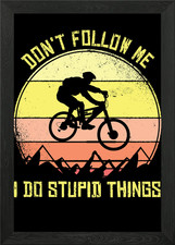 Mountain Bike Downhill Framed