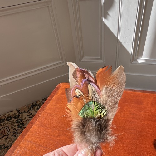 Guinea fowl and peacock - and,