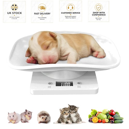 Digital small pet - digital,