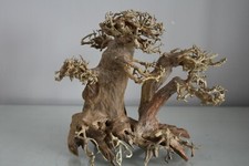 Aquarium Hand Crafted Real