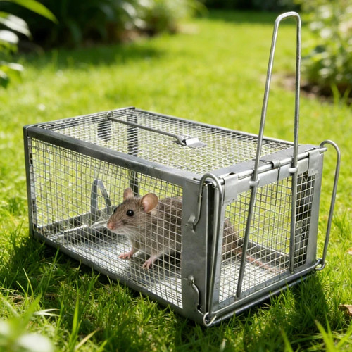 Squirrel rat trap metal - squirrel,