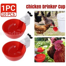 Up 10PC Chicken Water Cup