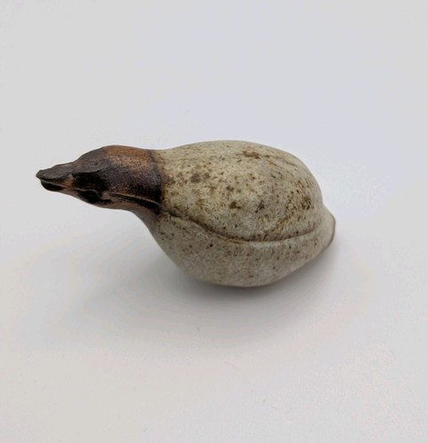 Tremar pottery cornwall - pottery,