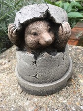 Cute Mole Hiding in A Pot