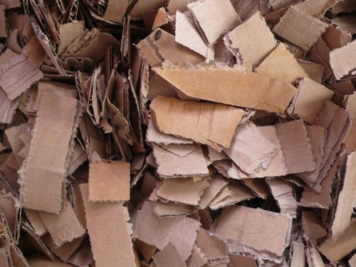 Ecobed cardboard shavings - cardboard,