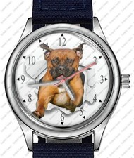 Dog Collection Staffordshire