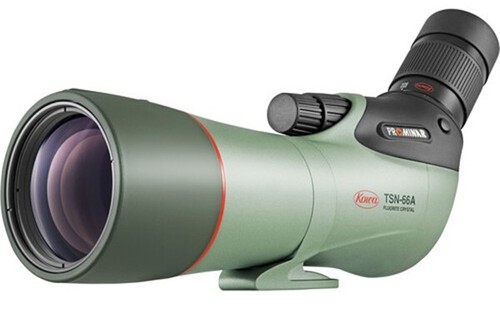 New kowa tsn 66a 60 - kowa, +