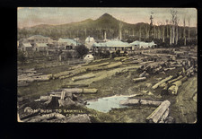 EARLY 1900 POSTCARD PANORAMA FROM BUSH TO SAWMILL LOGS WAITING FOR THE MILL