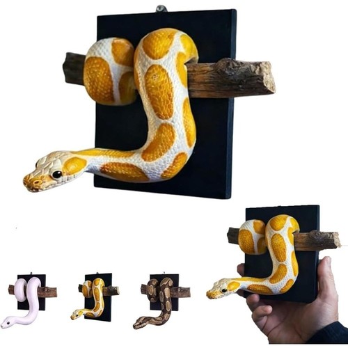 Golden ball python - python, wall