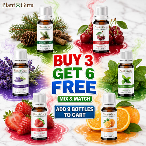 Fragrance oil for - fragrance,