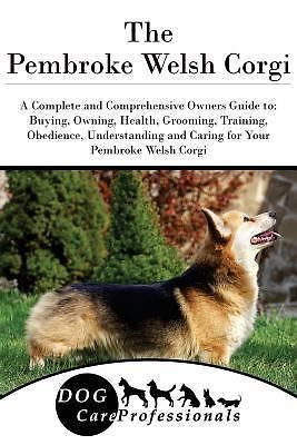 The pembroke welsh corgi a - welsh,