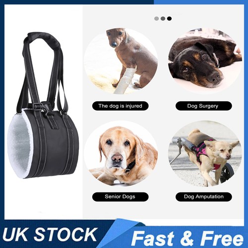 Dog lift harness - dog,