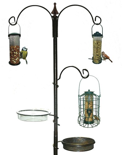 New traditional bird feeding - new,