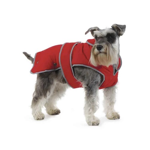 Ancol muddy paws - xl,