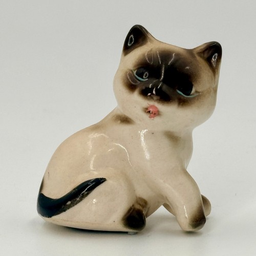 Mcm siamese cat - mcm,