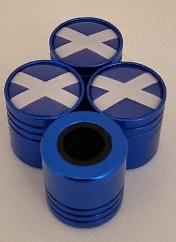 Andrews flag dust - flag, caps