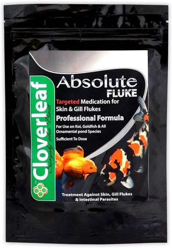 Cloverleaf absolute fluke - fluke, plus