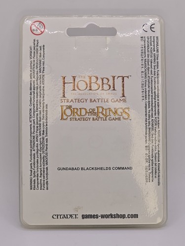 Games workshop hobbit - workshop,
