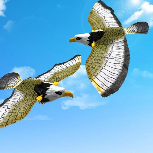 Flying falcon hawk bird scarer - falcon,