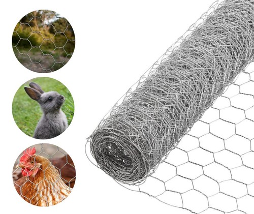 Galvanised chicken wire mesh - chicken,