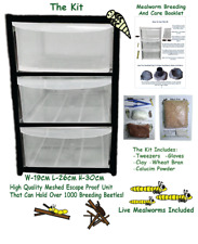 Mealworm Breeding Kit For