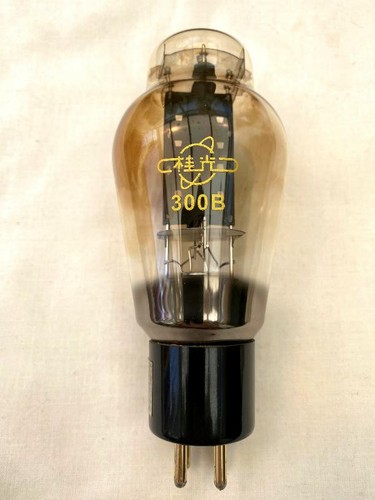 2pcs guiguang 300b valve - 2pcs,