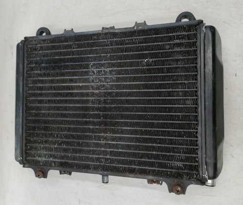 Water radiator kawasaki - radiator,