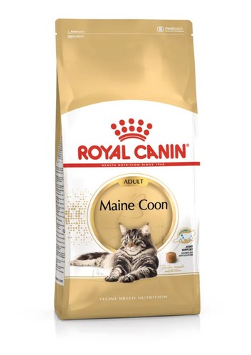 Royal canin maine coon - maine,