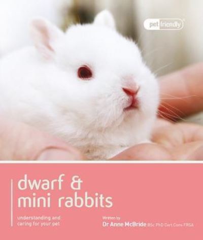 Dwarf mini rabbits - &,