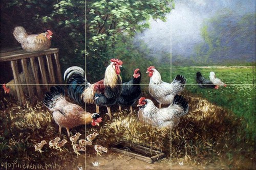 Chicken family farm rooster
