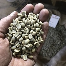 BOJANGLES GUATEMALA SHB EP