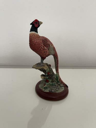 Border fine art pheasant - border,