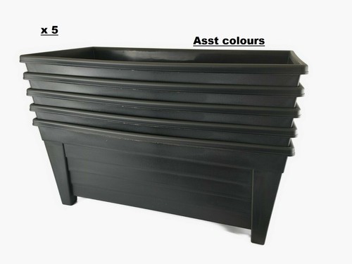 Extra large 55cm - large,