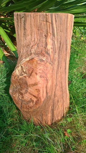 Tree stump table - , hardwood