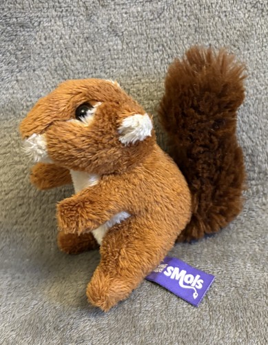 Living nature mini squirrel - nature,