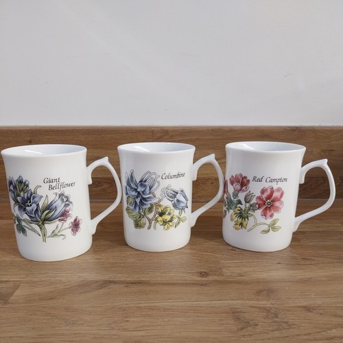 Duchess floral mugs fine - duchess,