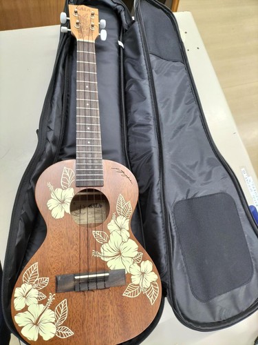 Kala hibiscus mahogany - ka-hibiscus-t,