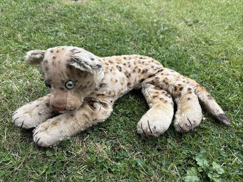Rare antique vintage steiff - antique,