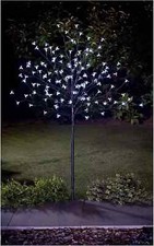Blossom Tree  6ft Main Powered