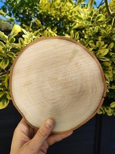 Log Slices LOCAL Wood 2-18CM  Discs Round Wedding Bark Wooden Crafts Pyrography