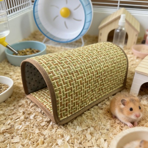 1xhamster cool nest guinea pig - cool,