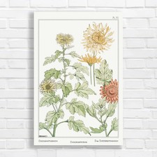 Vintage Botanical