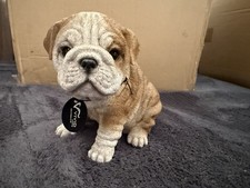 Vivid Arts English Bulldog