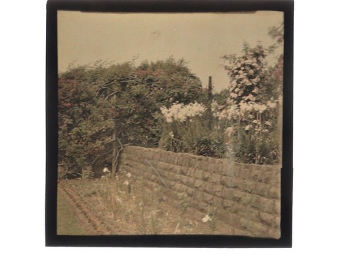 Autochrome garden colour - autochrome,